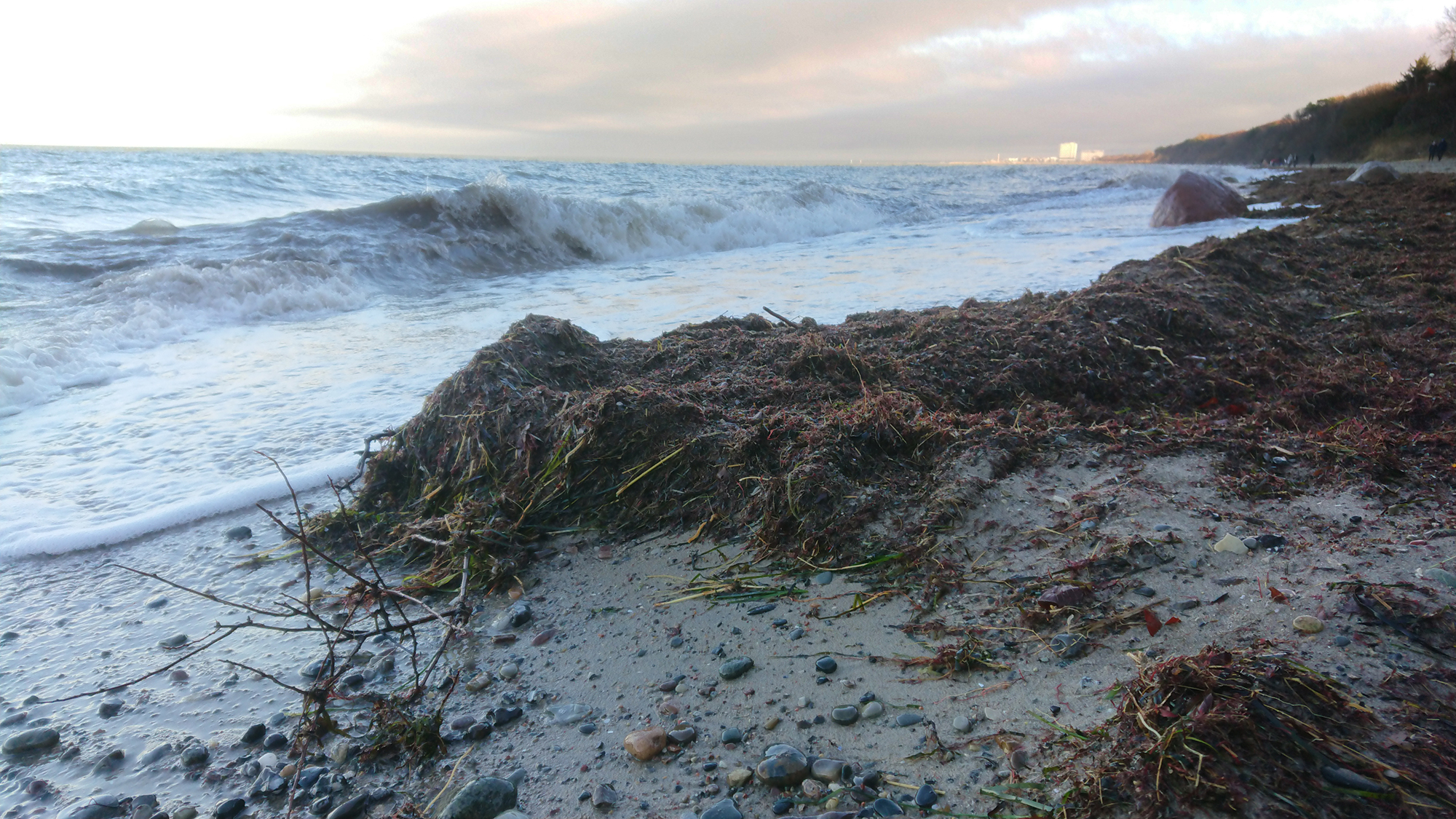 A seaside landscape.