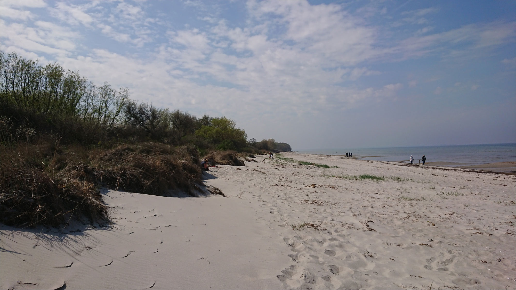 People on a sandy beach.