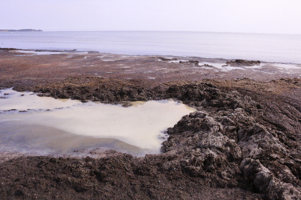 A seaside landscape.