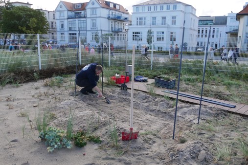 A sandy garden surrounded by a fence in a city.